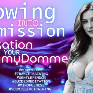 Flow Of Submission