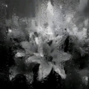 F4A recreating booktok for ur gf