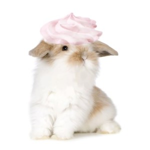 catt
