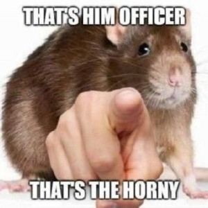 Tis horny time