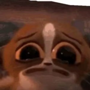 SQUIRT SQUIRT