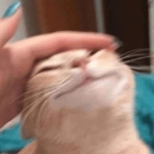 Lai